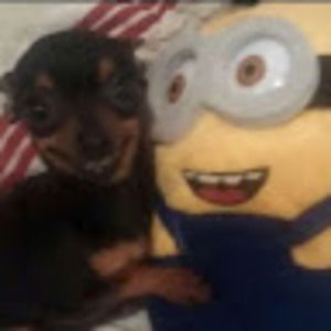 Meet your Posher, Adelisa